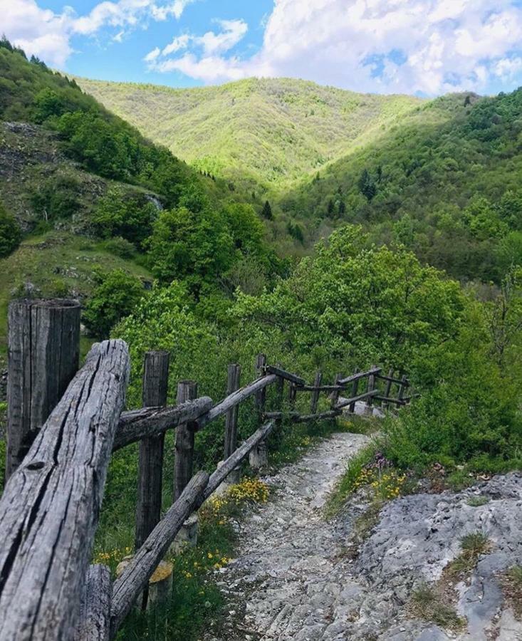 B&B Pisolo E I Persi Pien Roccasparvera Eksteriør billede